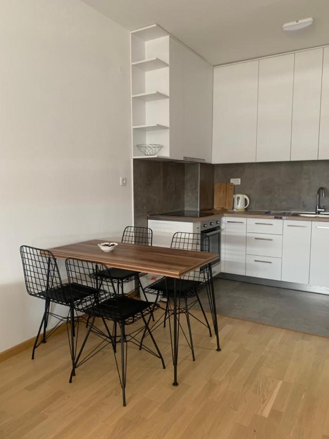 Apartment 45M2 포드고리차 외부 사진